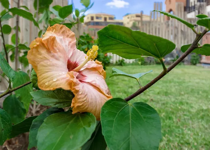 Okeanos Front Line San Blas *