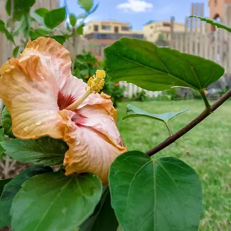Okeanos Front Line San Blas *